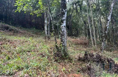 Terreno à venda em Monte Verde, Camanducaia 