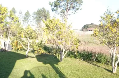 Chácara / sítio com 2 quartos à venda na Rua José Sebastião Dos Santos, 430, Campo das Flores, Tijucas do Sul