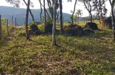 Terreno à venda em Calemba, Santo Amaro da Imperatriz 