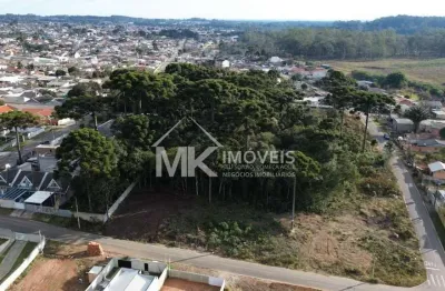 Lote/Terreno com área total de 383 m² - Araçatuba, Piraquara/PR