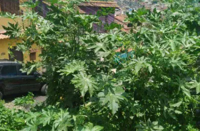 Terreno à venda, 450 m² por r$ 180.000,00 - vila valqueire - rio de janeiro/rj