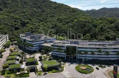 Sala comercial para alugar na rodovia josé carlos daux, 5500, saco grande, florianópolis por r$ 11.039