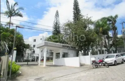 Apartamento com 4 quartos para alugar na rua das acácias, 121, carvoeira, florianópolis por r$ 4.000