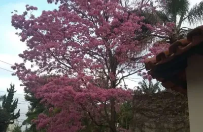 Casa com 4 quartos à venda na Rua Leonor Quadros, 175, Morumbi, São Paulo