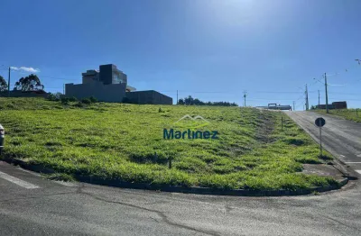 Terreno à venda, 521 m² por r$ 160.000,00 - zona rural - bueno brandão/mg