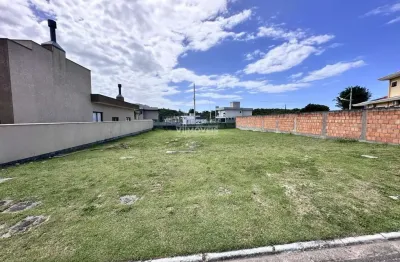 Terreno para Venda em Florianópolis, São João do Rio Vermelho