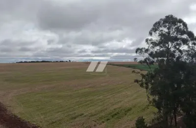 Casa à venda em Zona Rural, Cascavel 