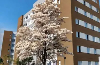 Apartamento para venda em são paulo, vila zefira, 2 dormitórios, 1 banheiro, 1 vaga