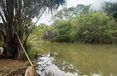 Chácara com duas casas, pomar e criatório de peixes em área ampla