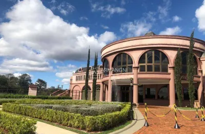 Terreno à venda, 1403 m² por r$ 2.104.770,00 - the euro royal residence & resort - londrina/pr