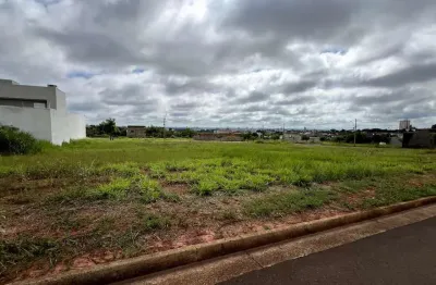 Terreno à venda na Rua Anesio Careta, s/n, Parque das Árvores II, Birigui