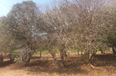 Sítio à venda em nhandeara-sp, bairro zona rural: 4 quartos, 2 salas, 1 banheiro, 133.100m² de área! aproveite!