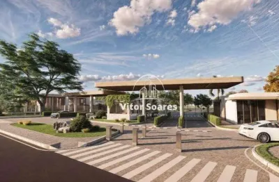 Terreno à venda, 702 m² por r$ 301.000,00 - parque das paineiras - birigüi/sp
