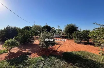 Chácara com 3 dormitórios à venda, 24200 m² por r$ 700.000,00 - taquari - birigüi/sp