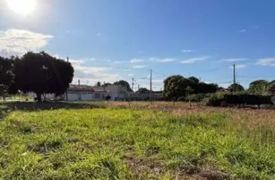 Terreno à venda no Jardim São Conrado, Birigui 