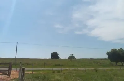 Oportunidade única: sitio à venda em birigüi-sp, no bairro taquari, com 56.000 m² de área. aproveite!