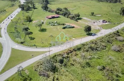 Área à venda, 74000 m² por R$ 7.400.000,00 - Estrada Floriano Rodrigues Pinheiro - Tremembé/SP