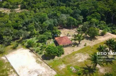 Sítio no ramal do castanho am 070 km23 - disponível pra venda