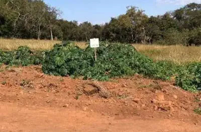 Você procura um terreno dos sonhos para construir a casa perfeita?