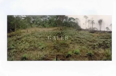 Excelente terreno no condomínio recanto dos palmares - 6.000 m² de área!