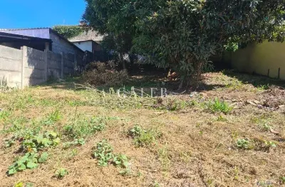 Lote próximo centro hospital serviços escolas restaurante