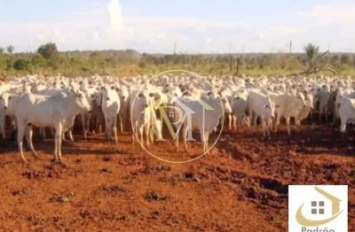 Terreno à venda na Zona Rural, Castanheira 