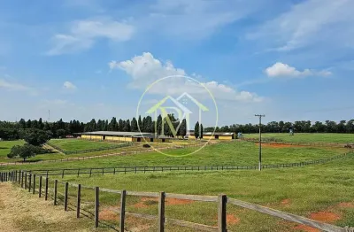 Maravilhoso haras com 42 alqueires localizado em tatuí/sp a venda por 25.000.000,00