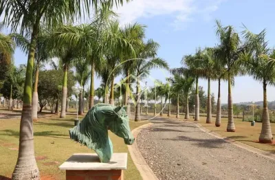 Chácara / sítio com 4 quartos à venda na Vila Esperança, Tatuí 