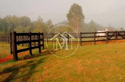 Haras com 1 dormitório à venda, 1113200 m² por r$ 16.000.000,00 - vila belo horizonte - itapetining