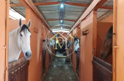 Haras com 4 dormitórios à venda, 192000 m² por r$ 3.500.000,00 - jardim santa cruz - iperó/sp