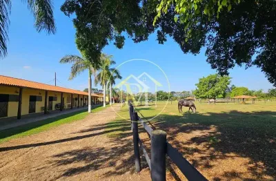 Maravilhoso haras de 20.000m2 localizado em salto-sp a venda por 3.500.000,00