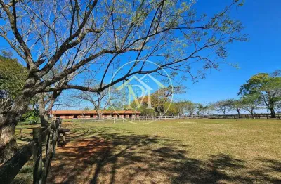 Chácara / sítio com 10 quartos à venda no Centro, Cesário Lange 