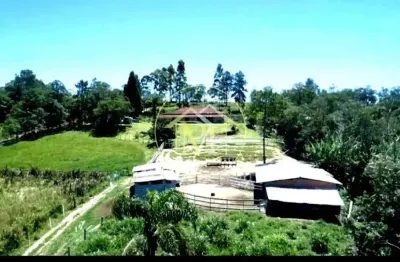 Chácara / sítio com 6 quartos à venda no Centro, Ibiúna 