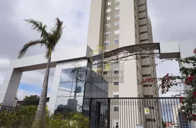 Apartamento com suíte à venda, vila industrial, campinas (sp) - ap729