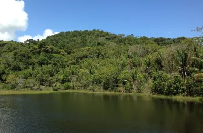 Belíssima Área Rural em São Roque do Paraguaçu 303,5 Hca Apta a Diversificação de Projetos