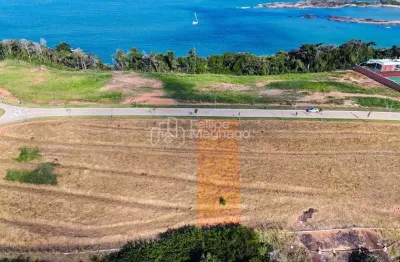 Terreno à venda na Avenida Padre José de Anchieta, Praia do Morro, Guarapari