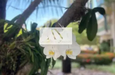 Apartamento com 2 quartos à venda na Rua Coronel Paulo Malta Rezende, 180, Barra da Tijuca, Rio de Janeiro