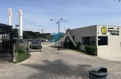 Apartamento 02 quartos,bairro colônia rio grande são josé dos pinhais.