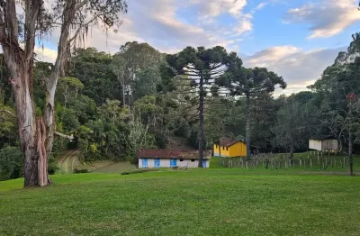 Chácara à venda – 45.000 m² – em roça velha, contenda, são josé dos pinhais