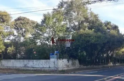 Terreno comercial para alugar na Rua Cidreira, 21, Ipanema, Porto Alegre