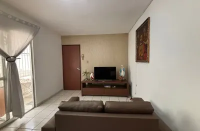 Excelente apartamento térreo no cordeiro fone81996344755