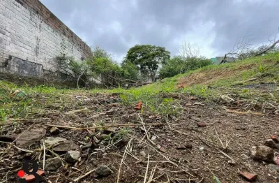 Terreno comercial para alugar na Rua Esteban Murillo, Vila Pedroso, São Paulo