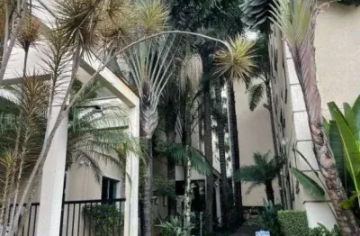 Apartamento com 3 quartos à venda no Paraisópolis, São Paulo 