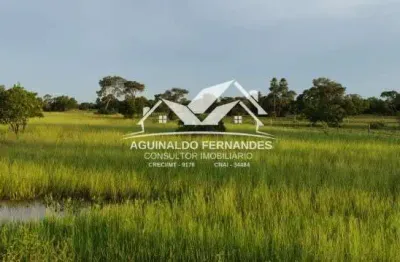 Fazenda à venda no Pirizal, Nossa Senhora do Livramento 