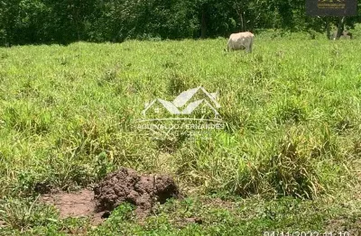 Fazenda à venda na Zona Rural, Jangada 