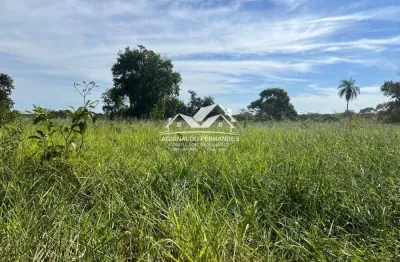 Fazenda à venda na Zona Rural, Santo Antônio do Leverger 