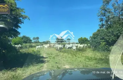 Fazenda à venda na Zona Rural, Nossa Senhora do Livramento 