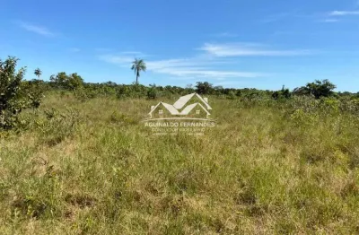 Fazenda à venda no Pirizal, Nossa Senhora do Livramento 