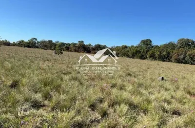 Fazenda pecuária 135 hectares próximo de varzea grande mt