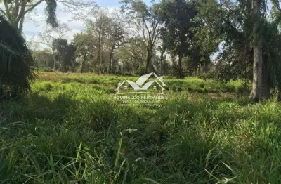 Fazenda excelete pecuária 1.800 hectares com 800 hectares